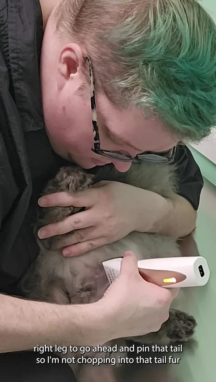 Let the cat roll over, turn it, and use a flip upside-down position, tucking the cat under your arm and extending its legs to create a flat plane for clipping.