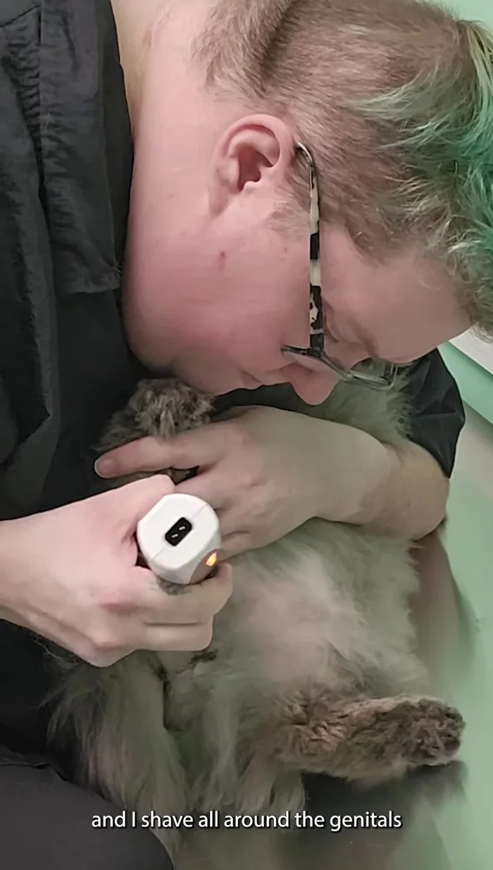 Gently tidy up before switching to the opposite side.