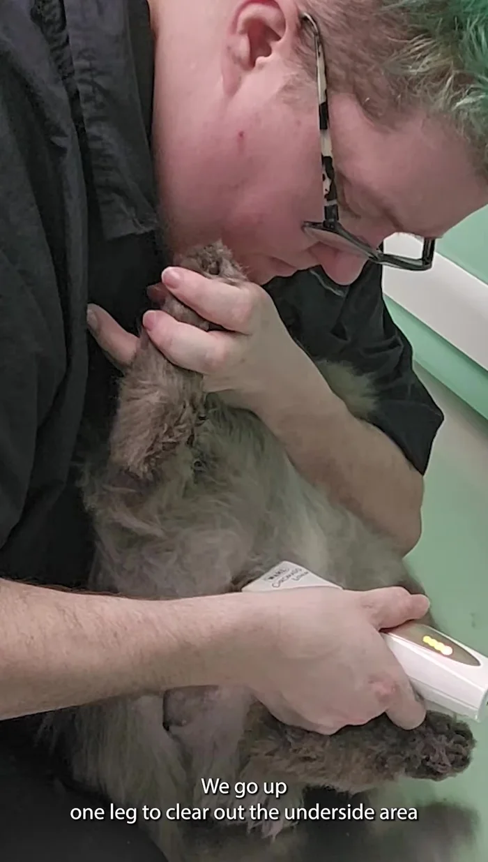 Gently tidy up before switching to the opposite side.