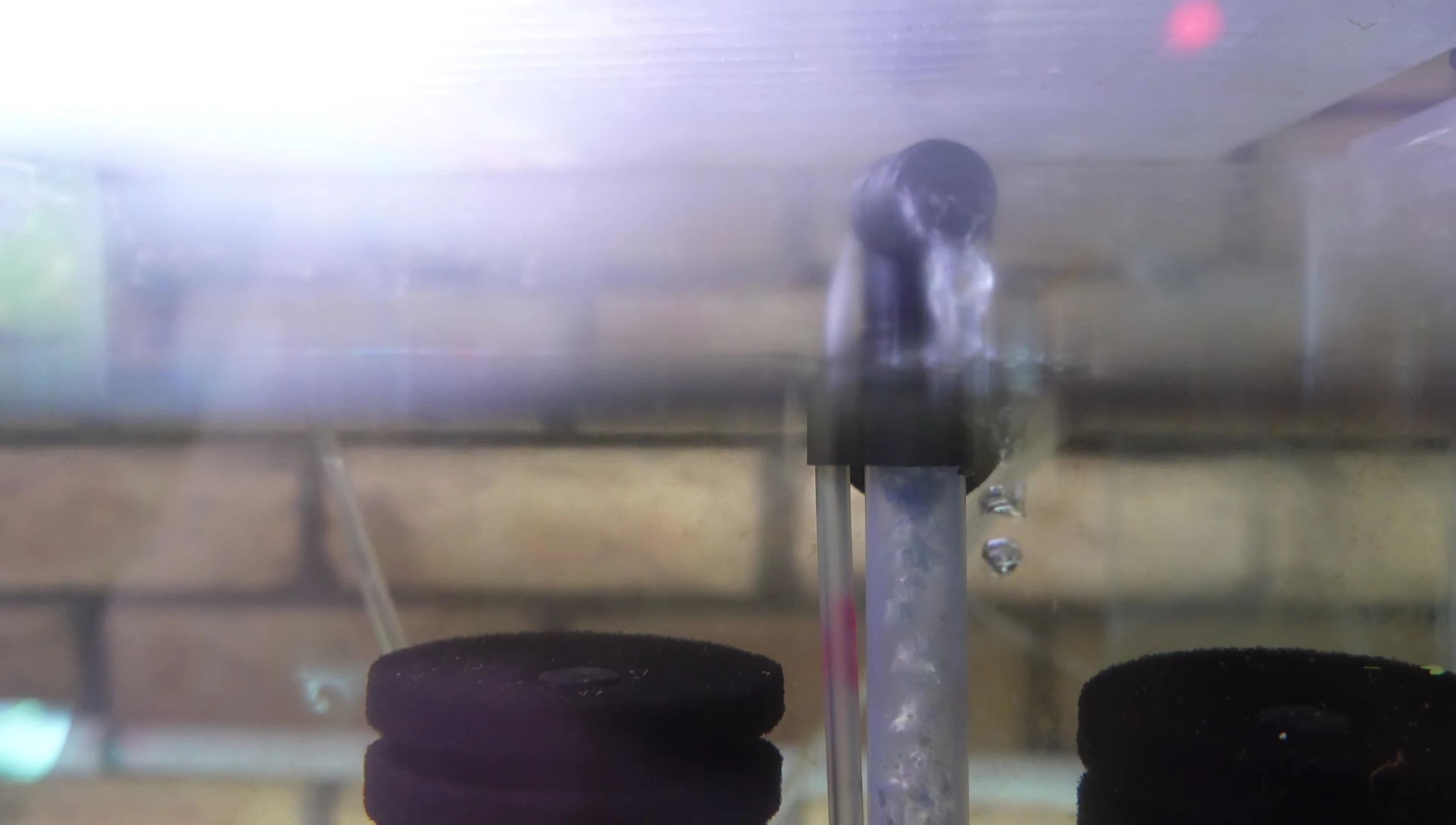 Visual demonstration of the difficulty in cleaning a sponge filter