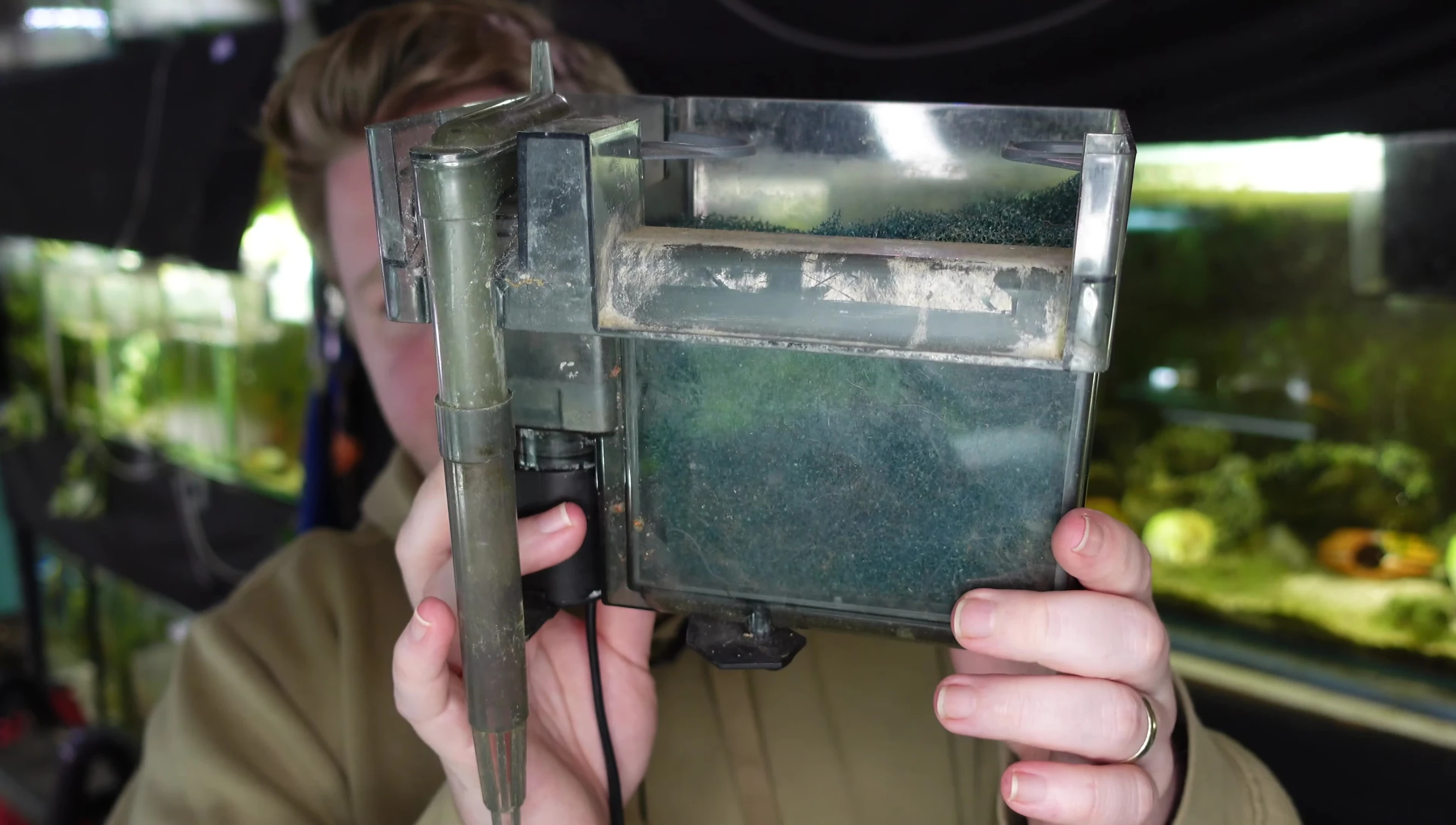 A hang-on-back filter attached to an aquarium.