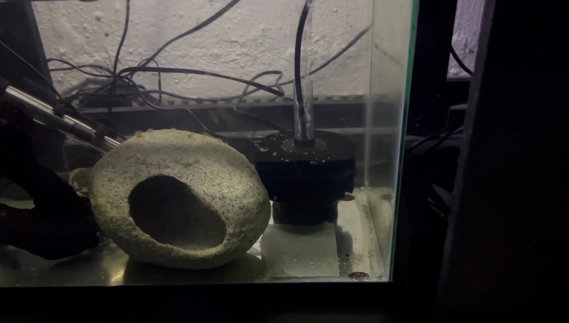 Example of a noisy air pump in a fish room