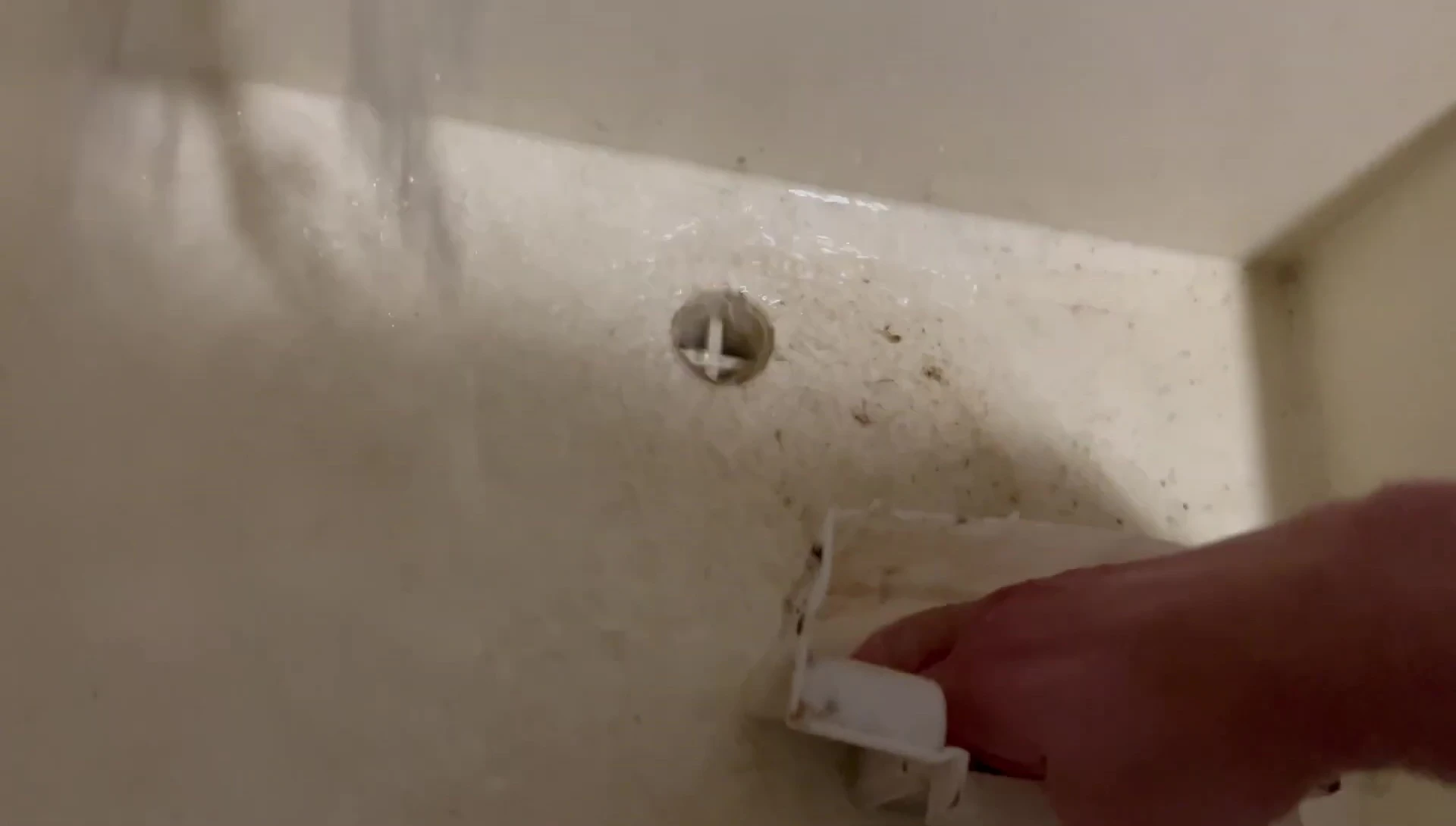 Demonstration of cleaning a hang-on-back filter