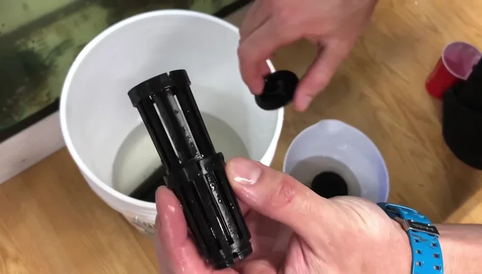 Place the cleaned sponge filter back into the aquarium.