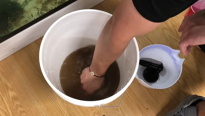 Rinse the sponge filter thoroughly with tank water in your cup, squeezing out the dirty water each time.