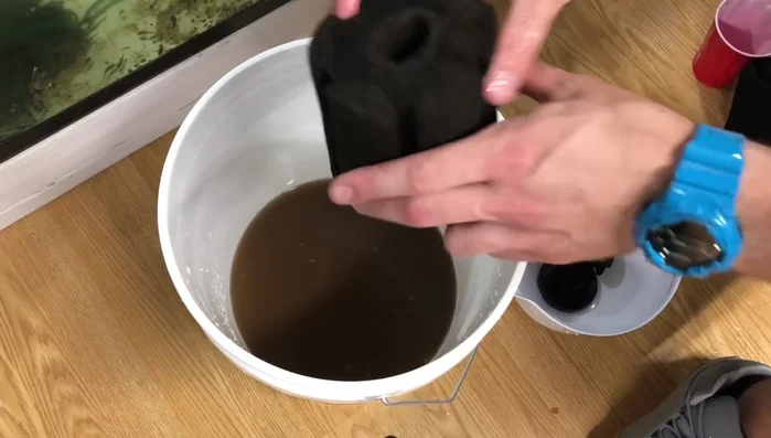 Rinse the sponge filter thoroughly with tank water in your cup, squeezing out the dirty water each time.