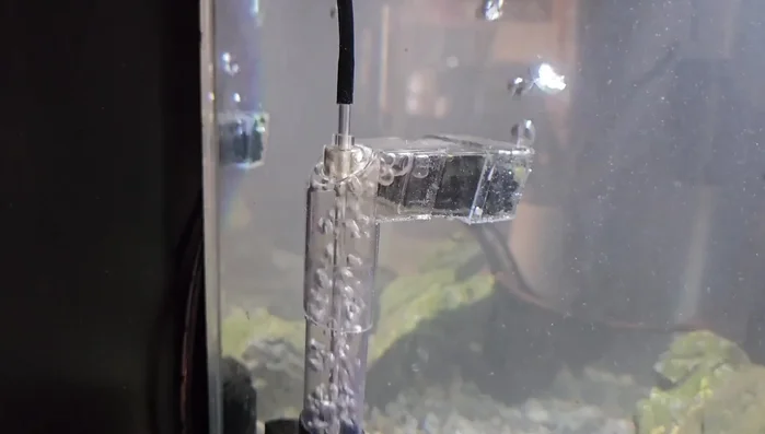 Add plants from an established tank to introduce beneficial bacteria.