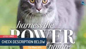 Top 5 Best Cat Shampoos 2023: A Detailed Review