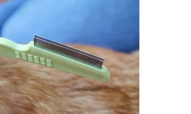 Image highlighting the ergonomic handle of the Safari flea comb.