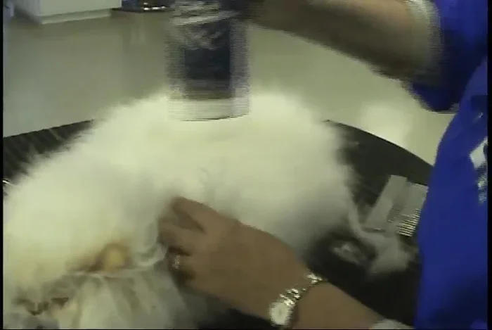 Use an anti-static spray to mist the coat, helping to prevent static and keeping the coat moisturized.