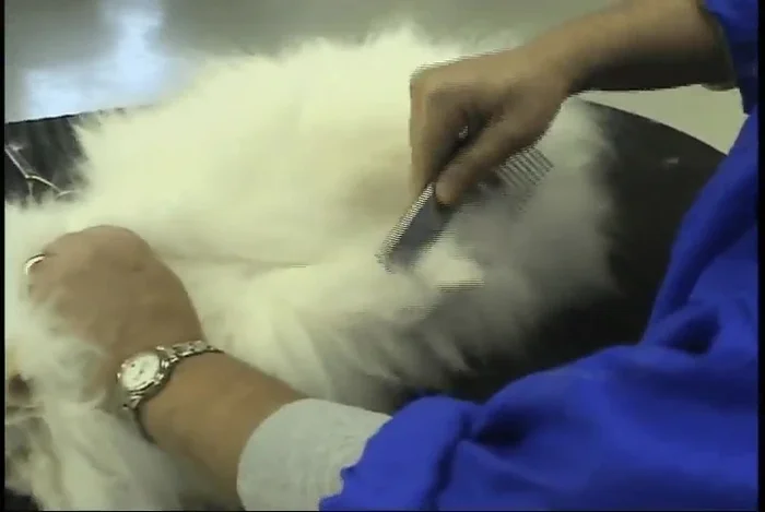 Hold the matted section gently in your hand to isolate it.