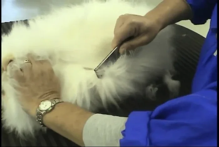 Check the area again by combing through to ensure all matting is removed. Repeat steps 2-4 if necessary.