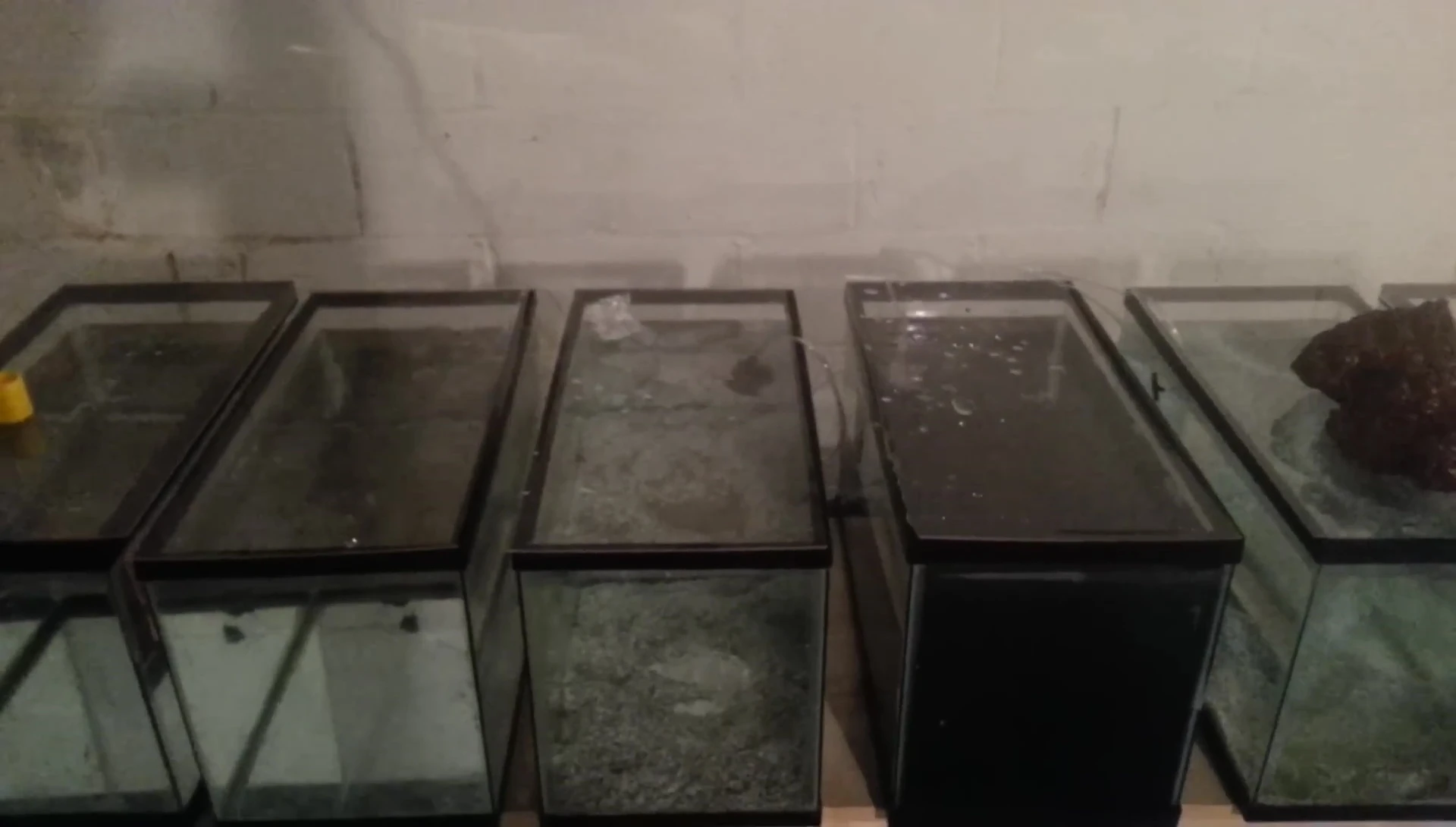 Image showing a sump pump