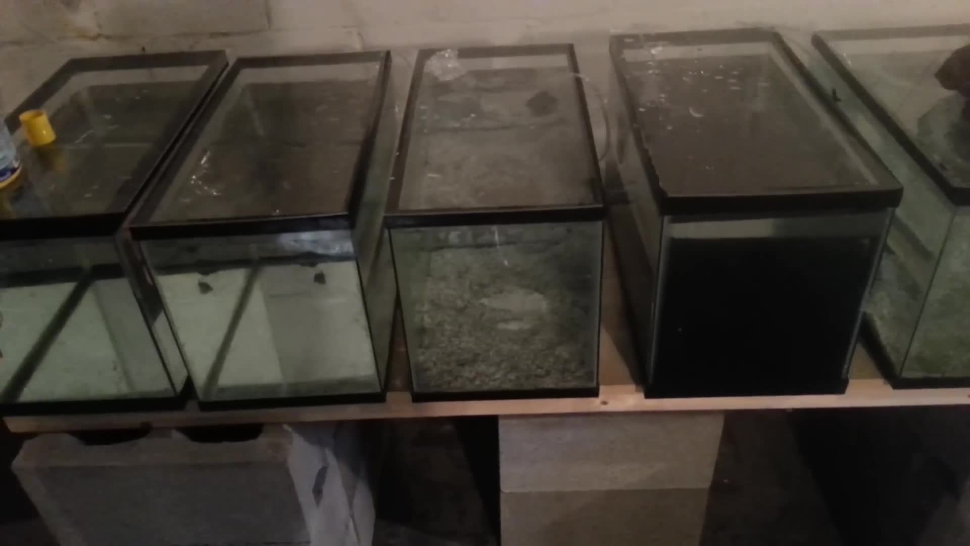 Graph showing the cost comparison between sump and sponge filter systems