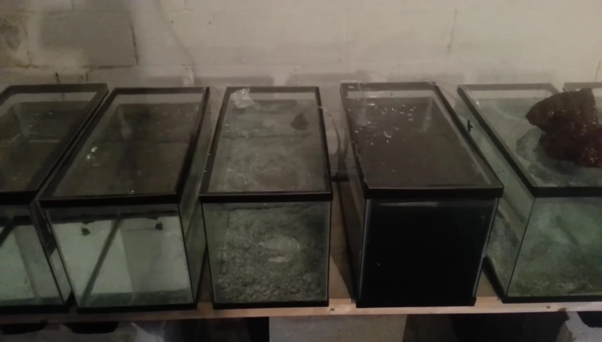 Image demonstrating the spread of disease in a sump system