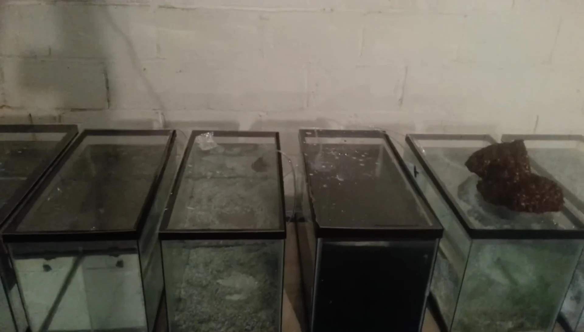 Comparison of energy consumption between sump and sponge filters