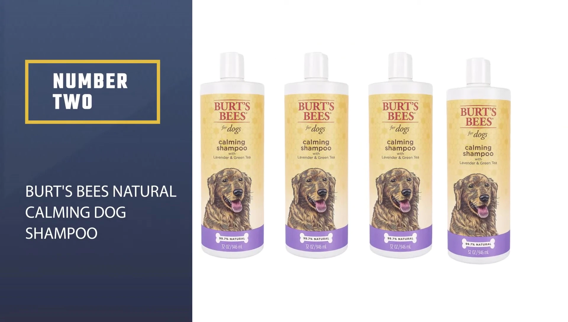 Brute's B's Natural Calming Dog Shampoo bottle
