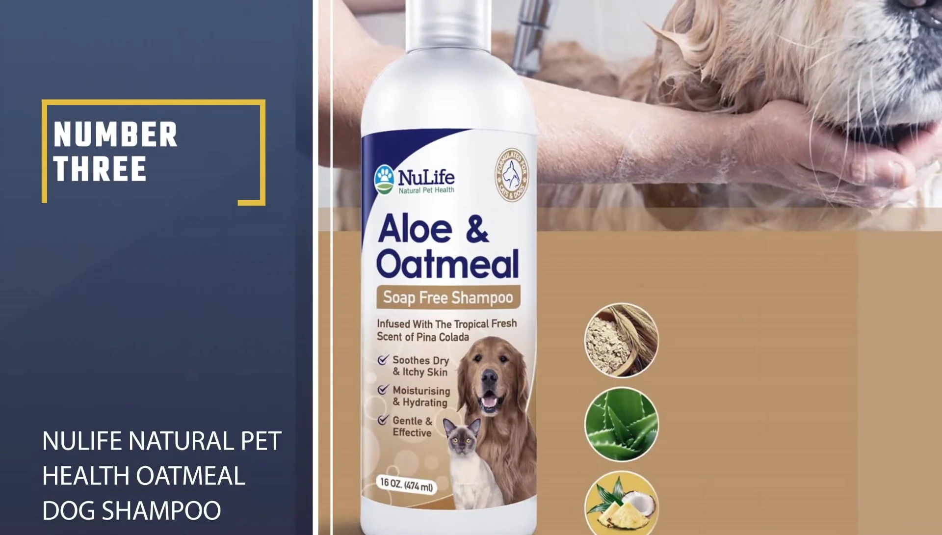 New Life Natural Pet Health Oatmeal Dog Shampoo bottle