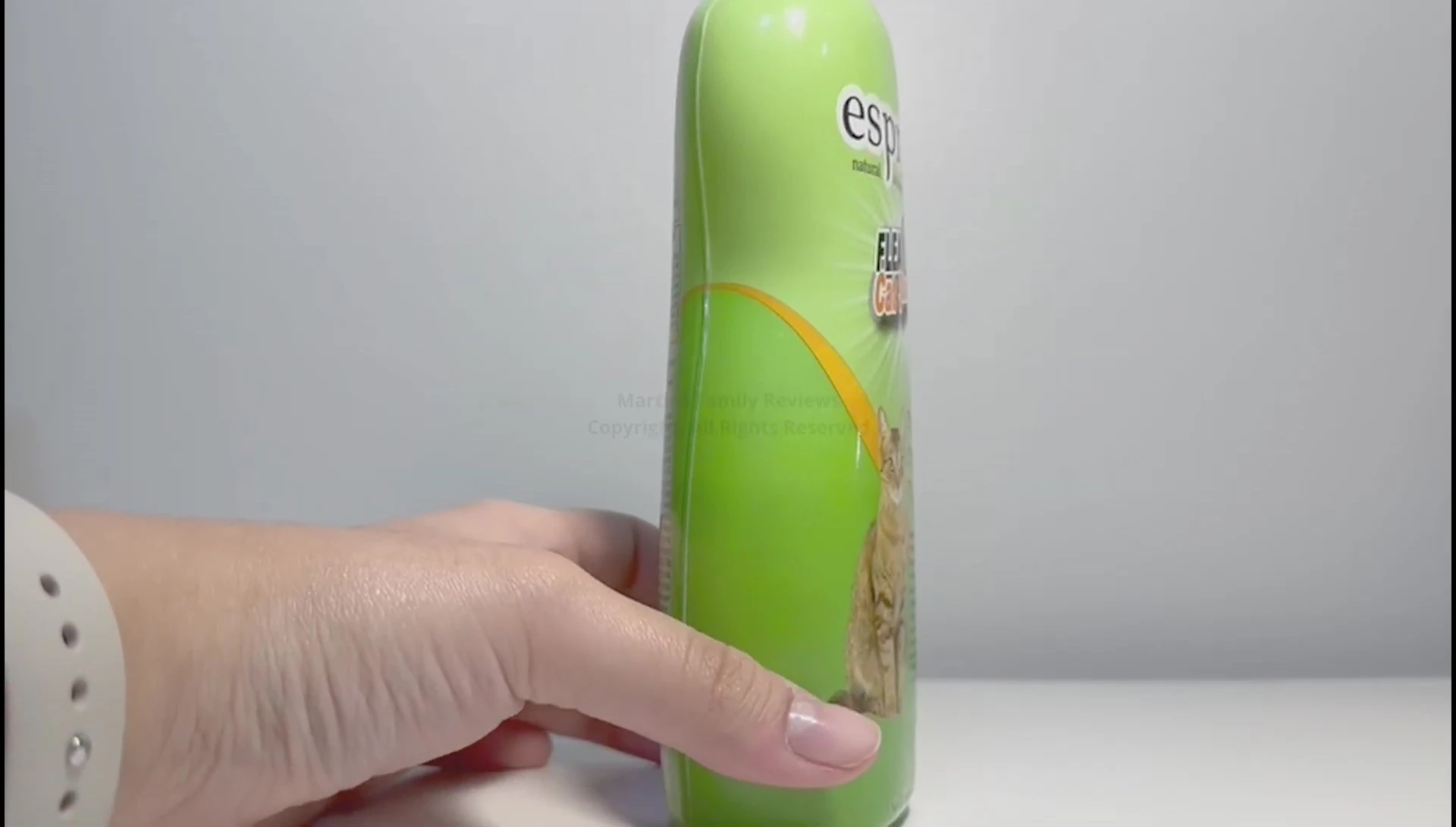 Image of a cat being bathed with the shampoo