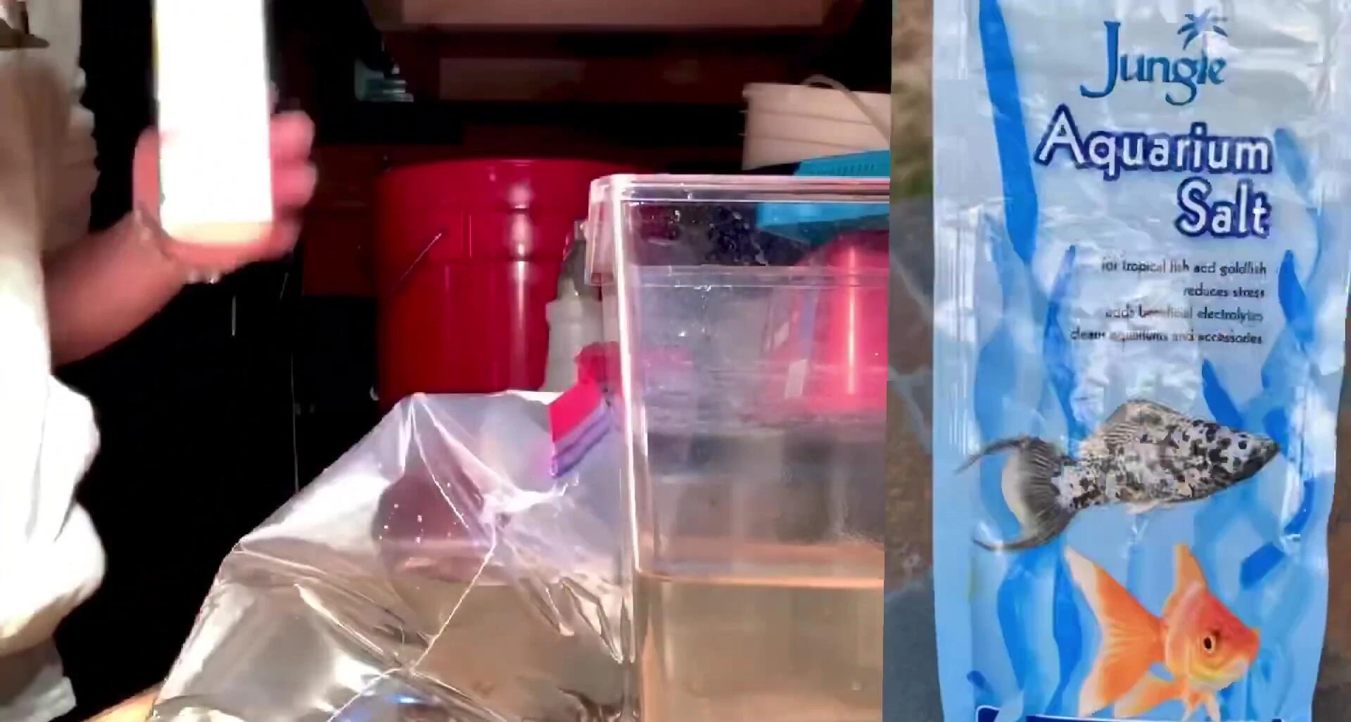 Water change in progress during quarantine