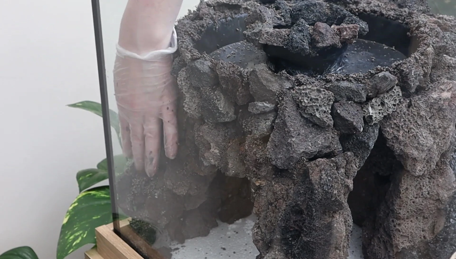 The Neutrase substrate being added to the bottom of the tank.