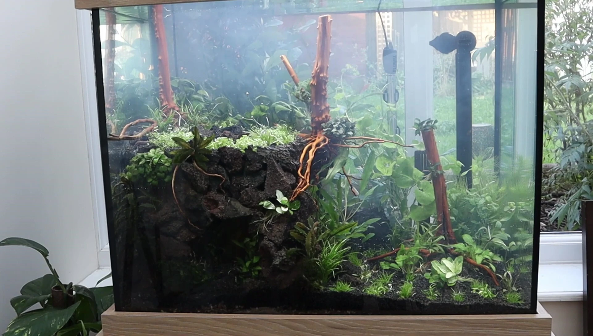 The finished aquascape.