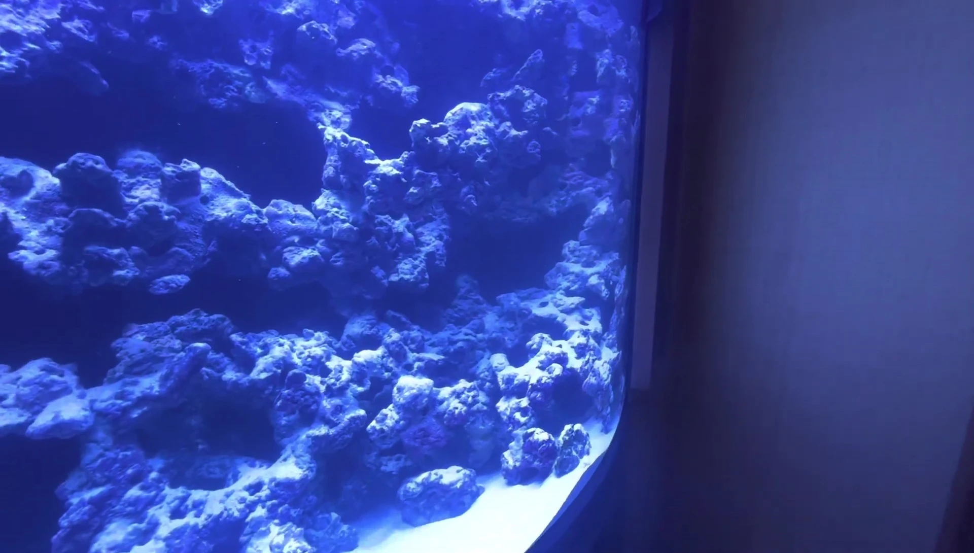 The eel's habitat.
