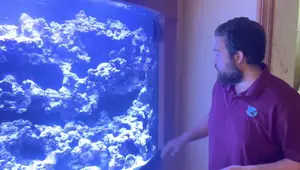 Custom Aquarium Build: A Stunning Reef Slope Aquascape