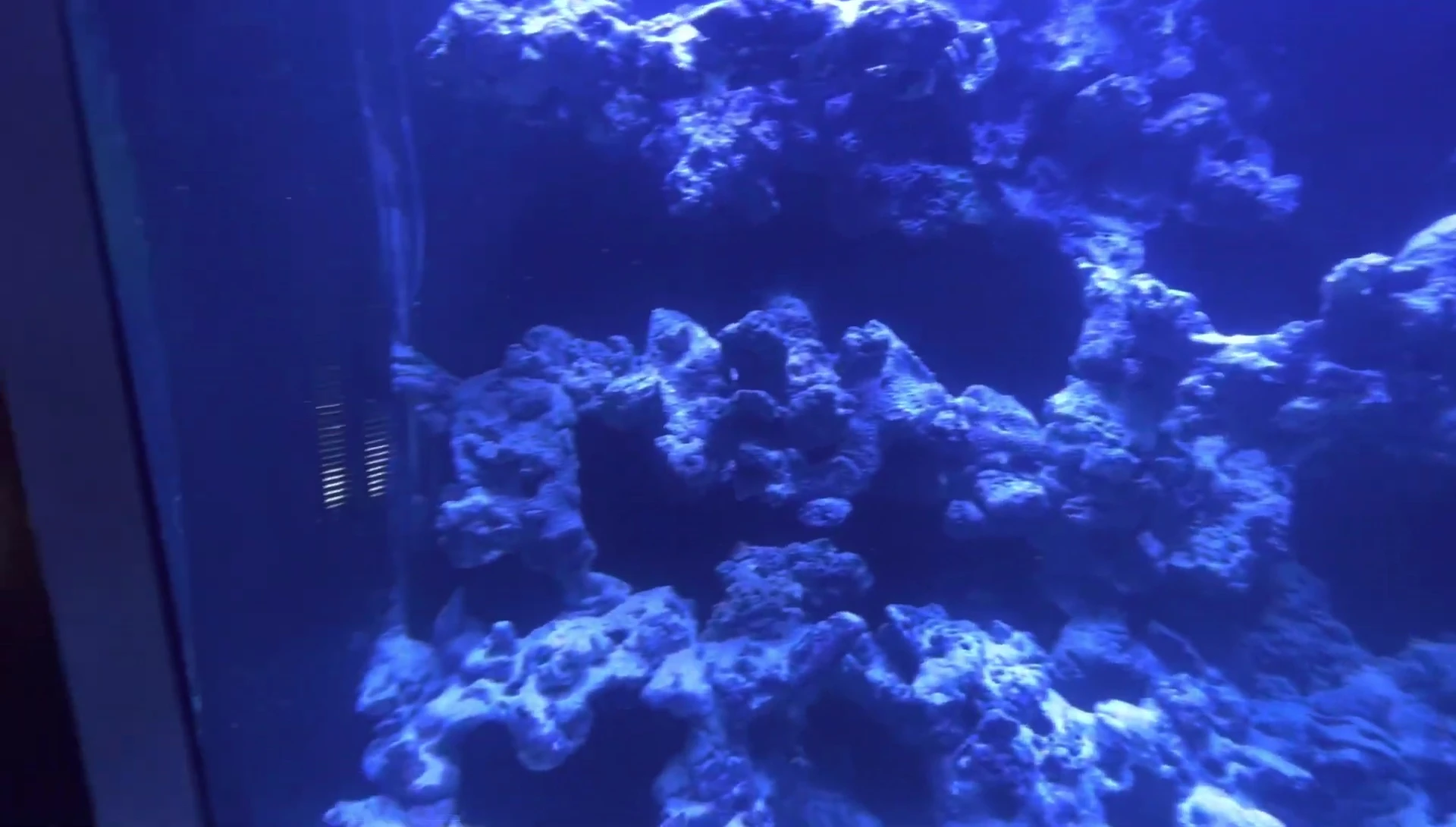 The continuous line and flow of the aquascape.
