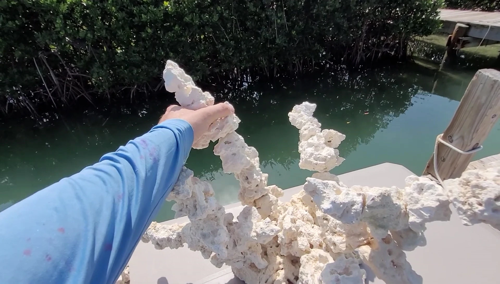 Showing how easily corals can be repositioned