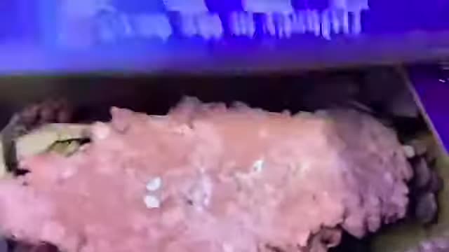 Aquaforest rock in its packaging