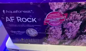 Aquaforest Rock Review: A Detailed Look at This Aquascaping Rock