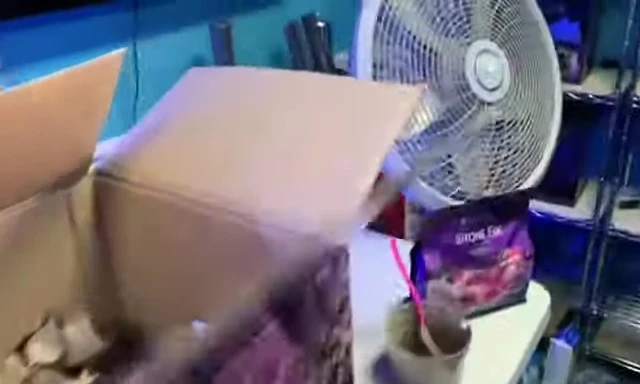The Aquaforest Stone Fix adhesive