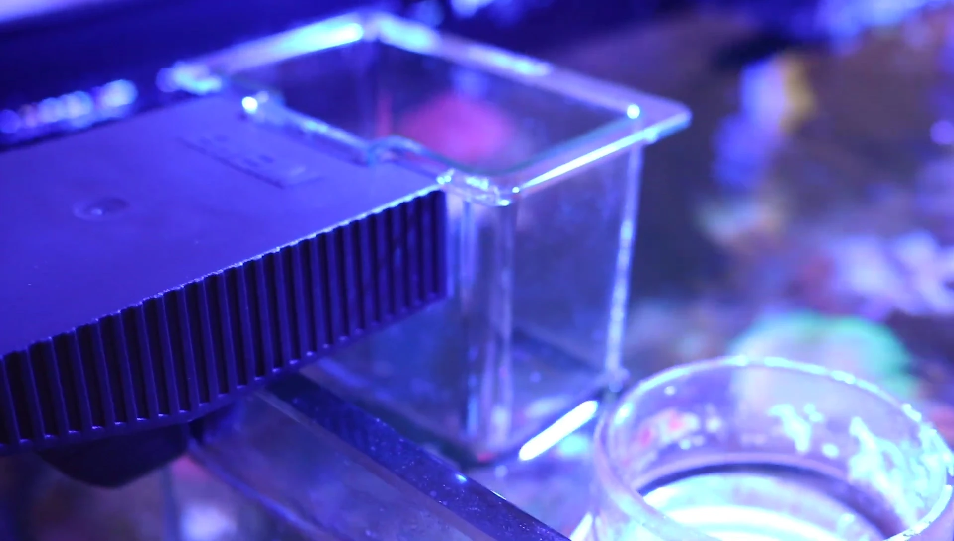 The Eheim feeding station clamped onto the aquarium glass.