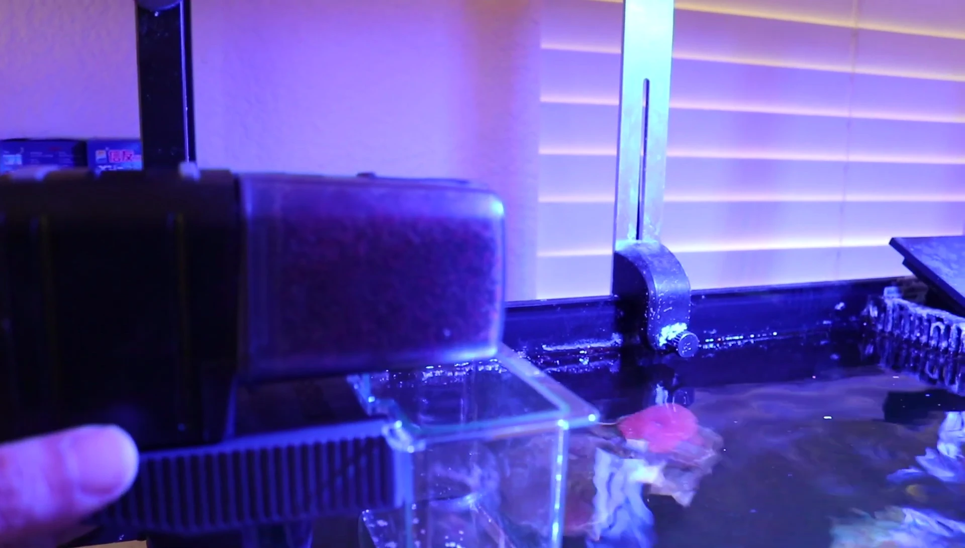 Final shot of the Eheim Auto Feeder and station