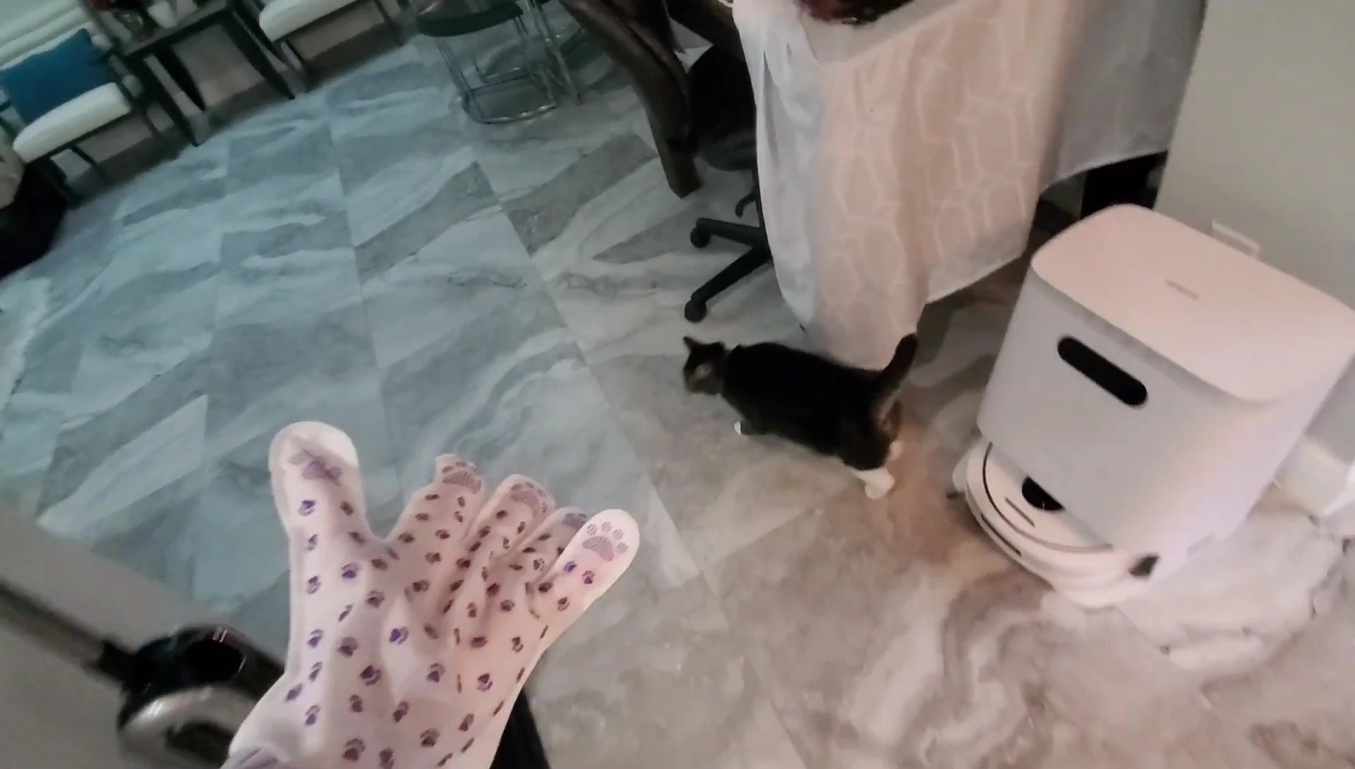 The presenter massaging the cat.