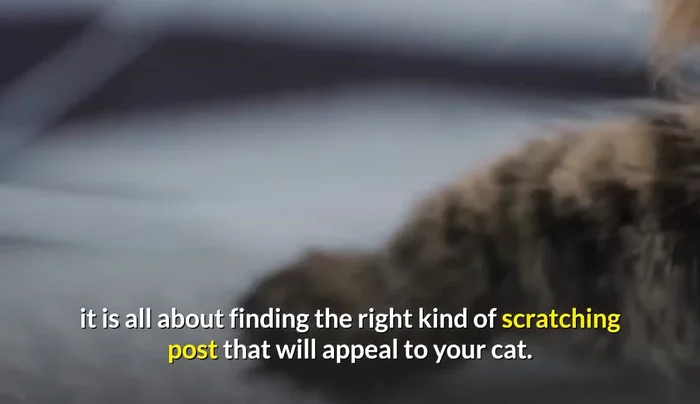 Find the Right Scratching Post: Experiment to find a post your cat prefers (103.829). Consider vertical vs. horizontal, material, etc. (118.2).