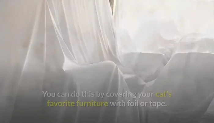 Consider Furniture Changes: If all else fails, choose furniture made of scratch-resistant materials like microfiber (274.26).