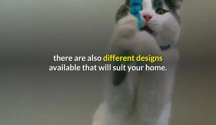 Consider Furniture Changes: If all else fails, choose furniture made of scratch-resistant materials like microfiber (274.26).