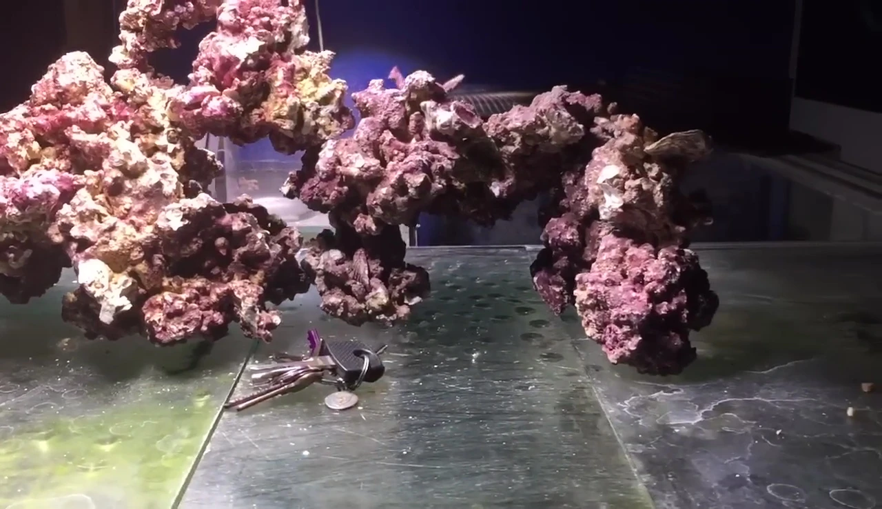 A shot emphasizing the lack of microorganisms, a key difference between Real Reef Rock and live rock.