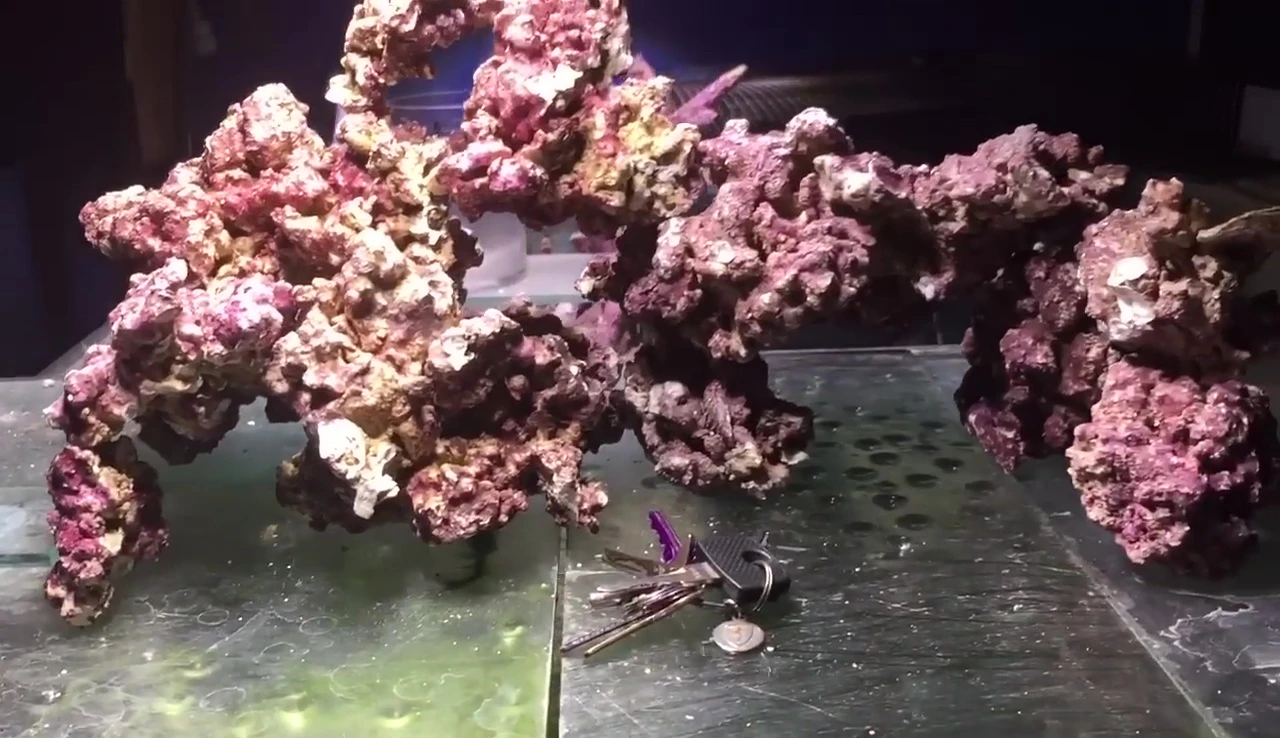 An example of the aquascape demonstrating the flow and swim-through areas created by the rock arrangement.