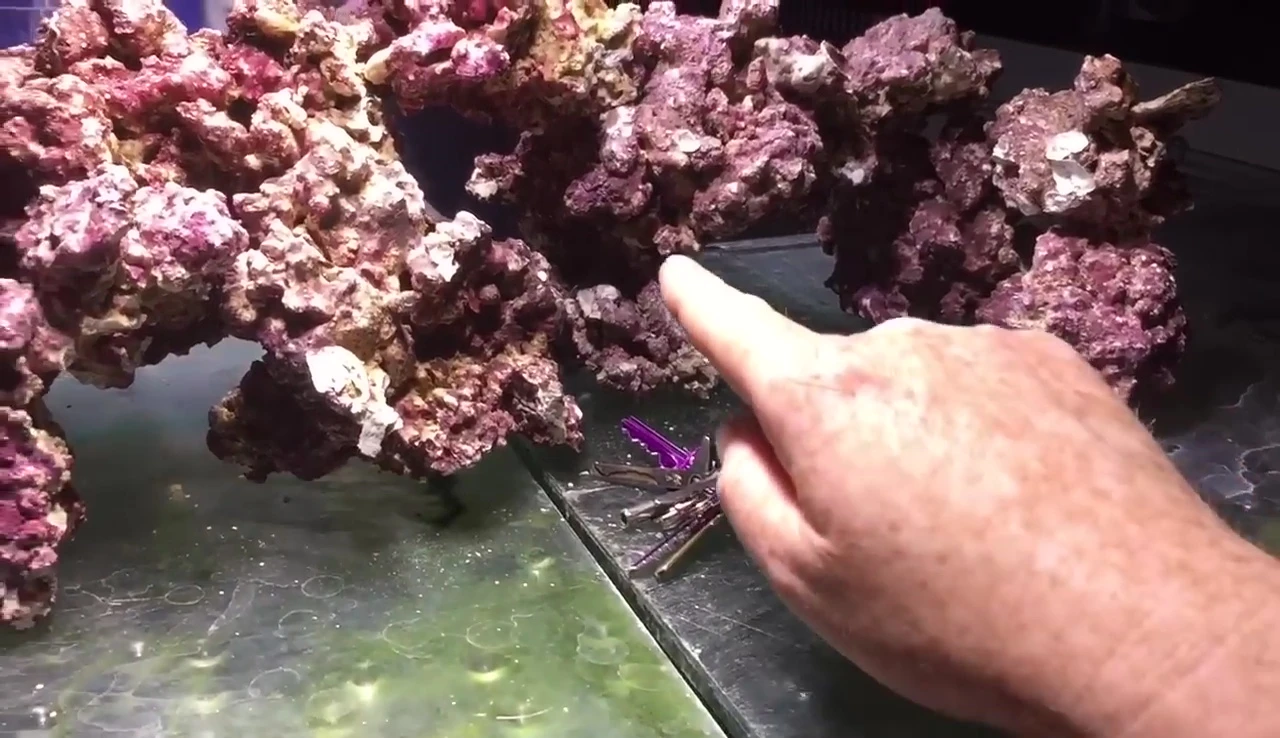A detailed view of the aquascape showing varied heights and depth of rock placement.