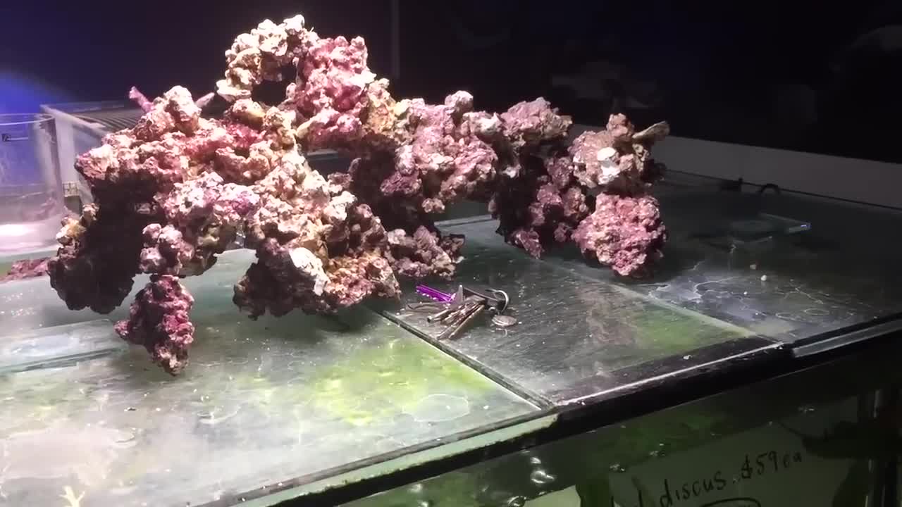 A close-up view showcasing the quantity of 6kg Real Reef Rock.