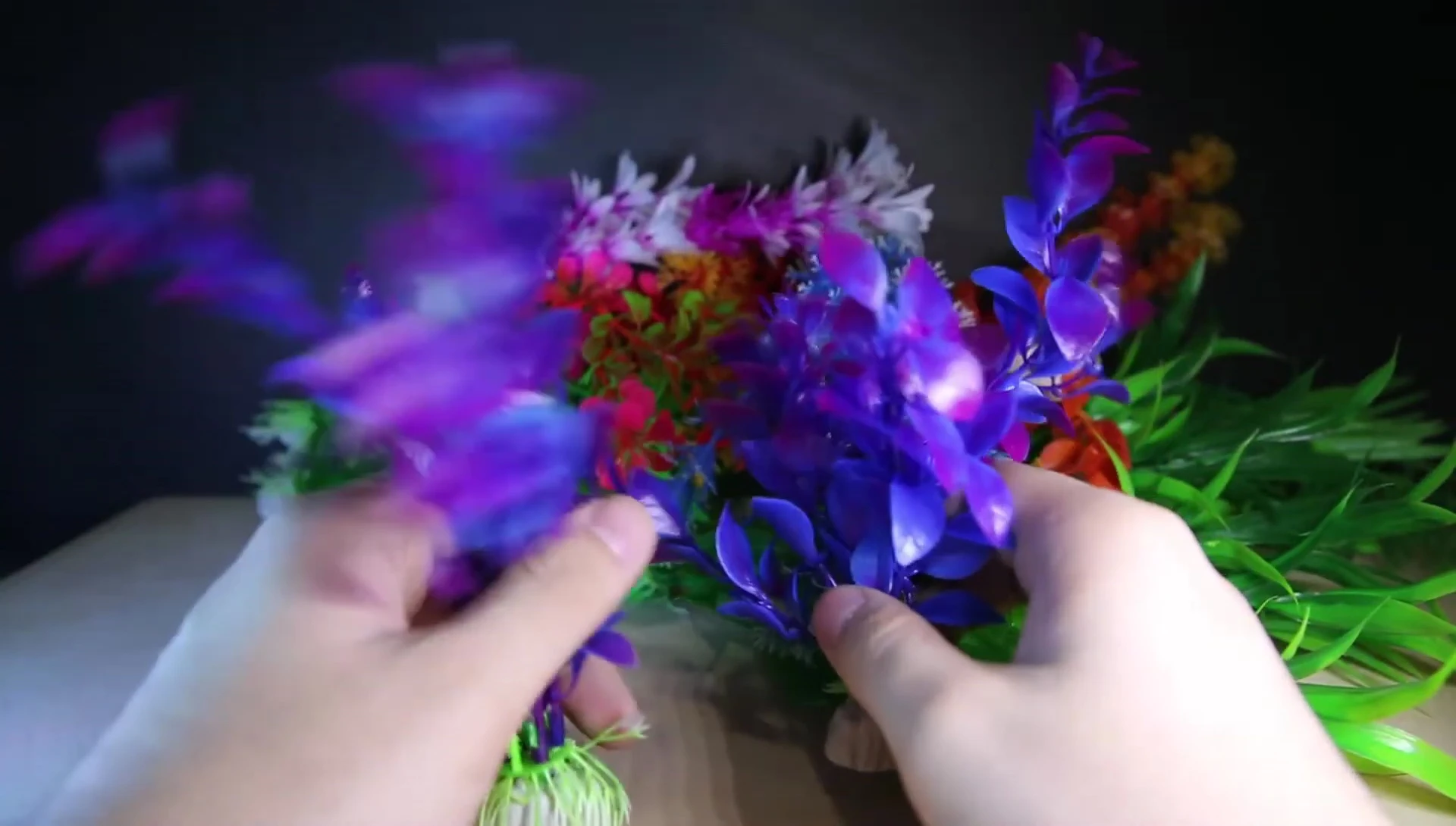 The purple plants