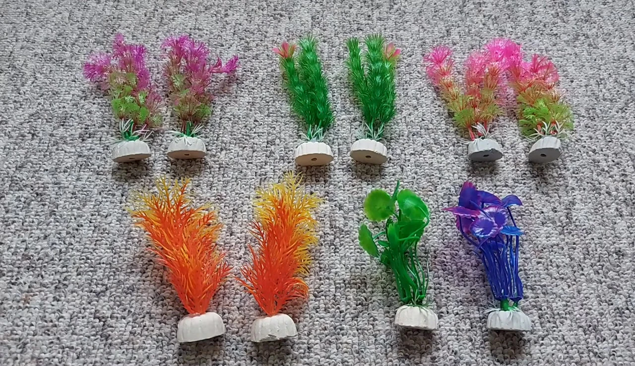 Medium-sized plastic plants.