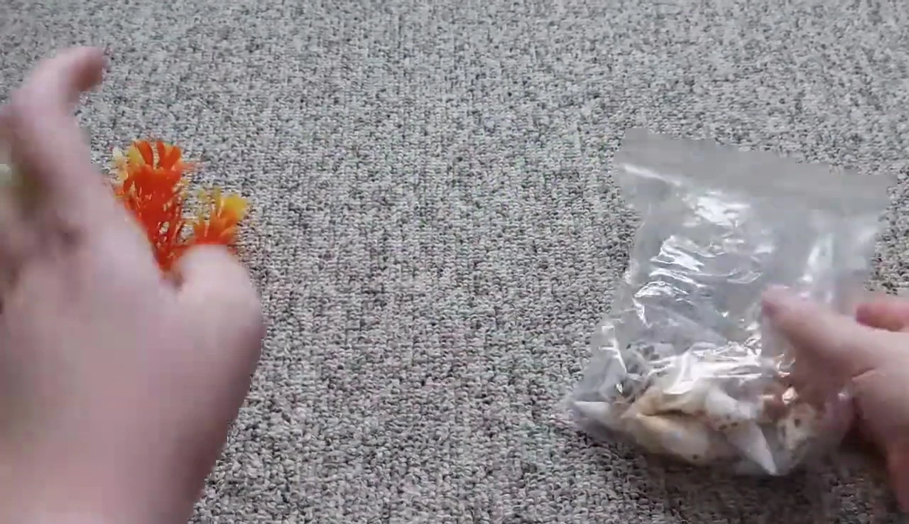 Bag of decorative shells.