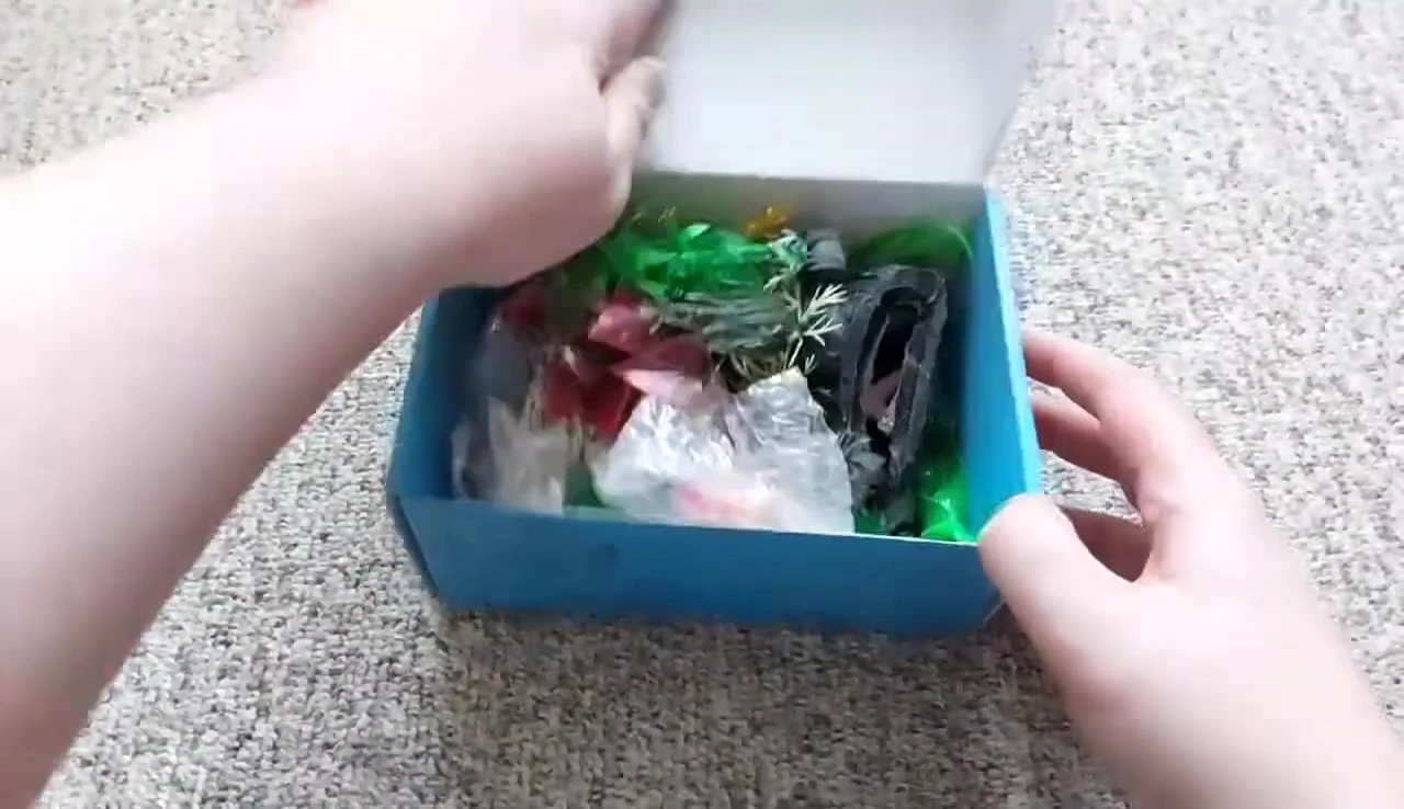 The third box of decorations.
