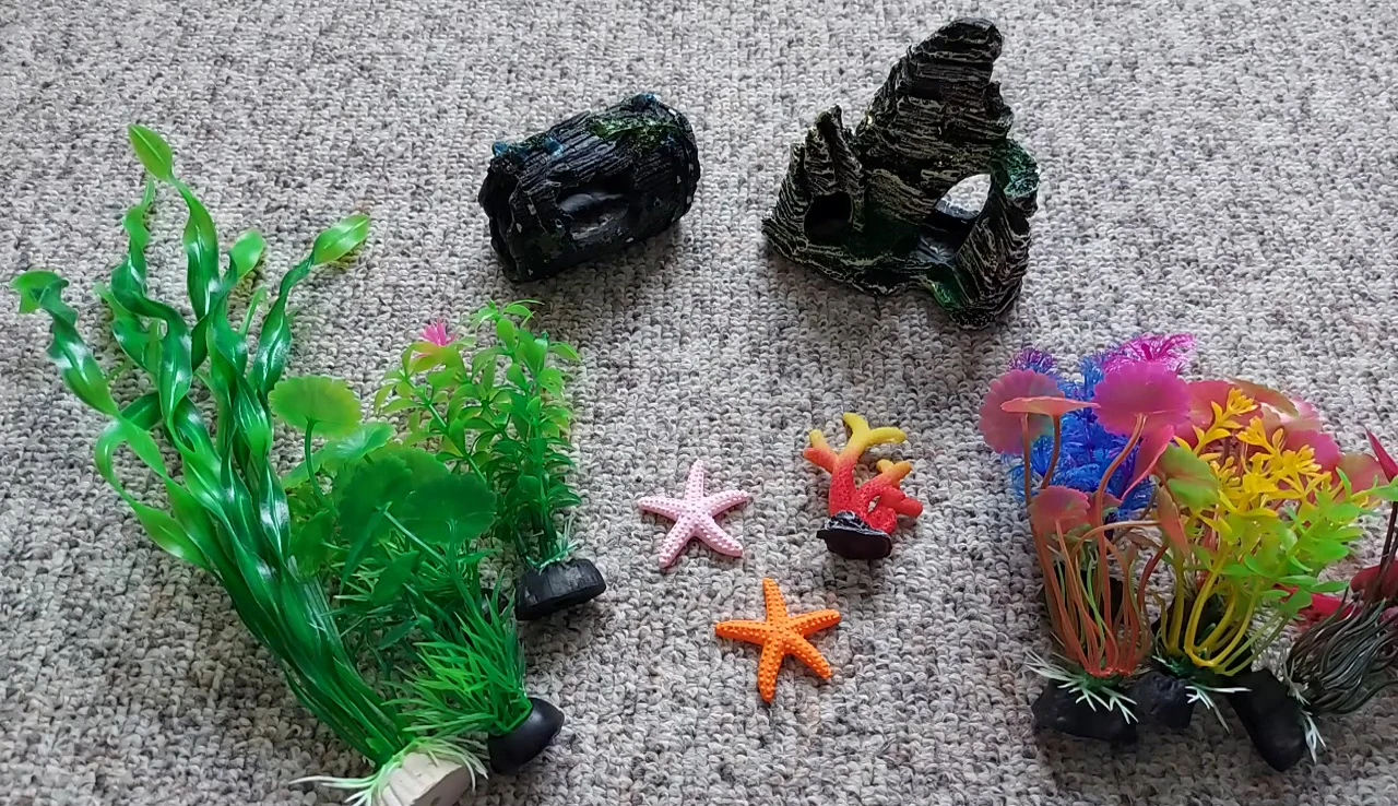 Decorations placed in a quarantine tank.