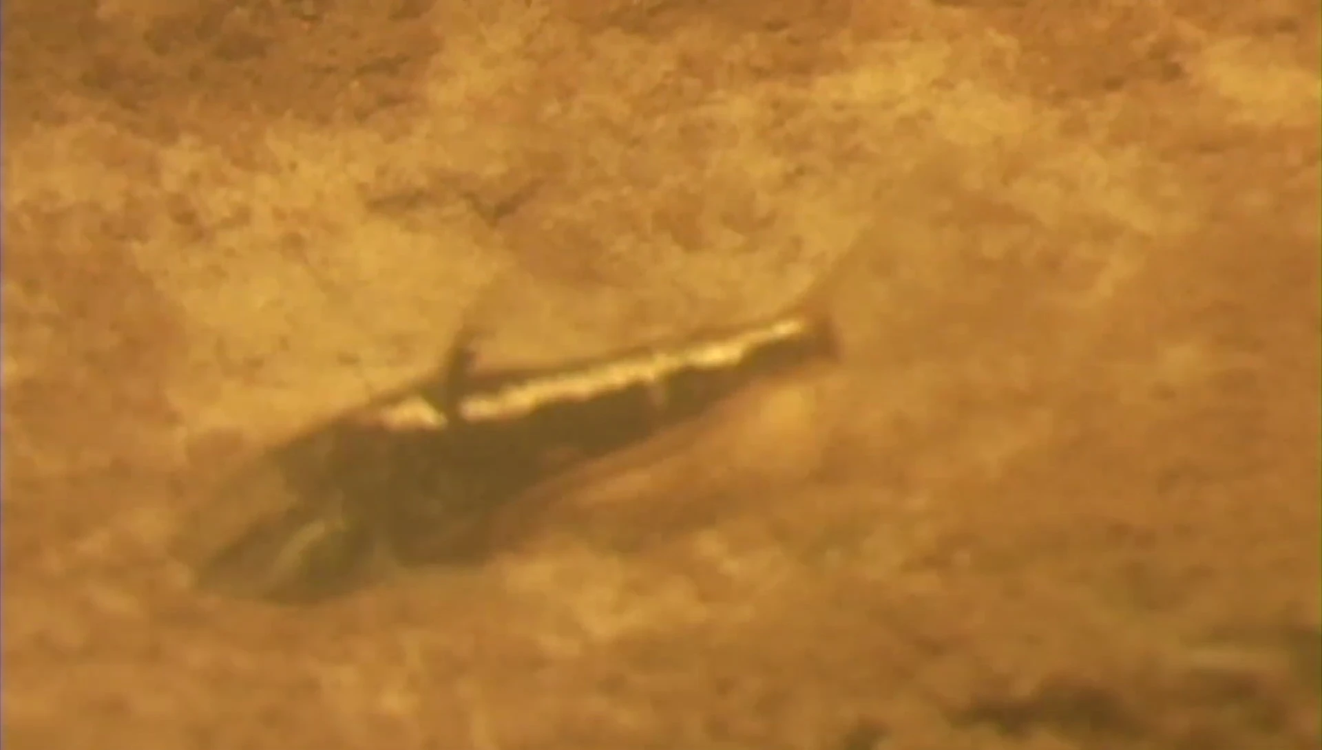 Close up of smooth substrate safe for Corydoras