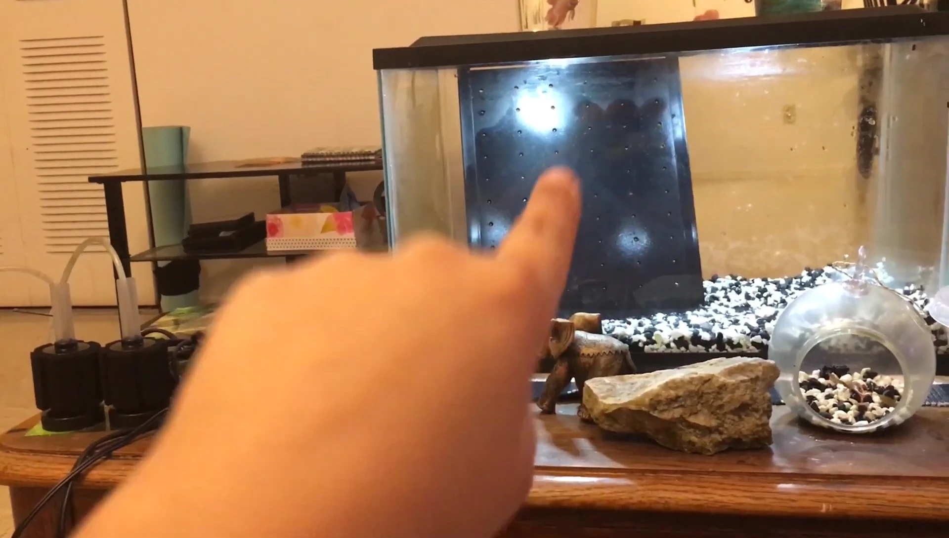 Screenshot showing the Life With Pets divider.